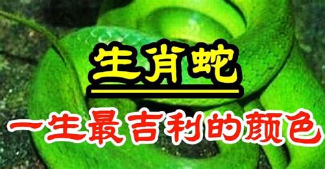 屬蛇五行顏色|【屬蛇五行顏色】屬蛇五行顏色：揭曉旺運必備的幸運。